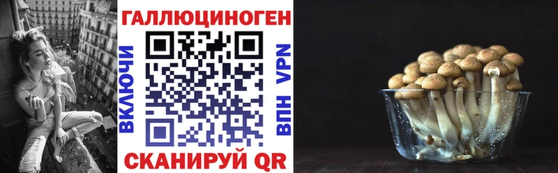 Галлюциногенные грибы мицелий  Купить закладки  Южно-Сухокумск
